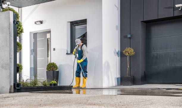Best Soft Washing  in Kentwood, MI